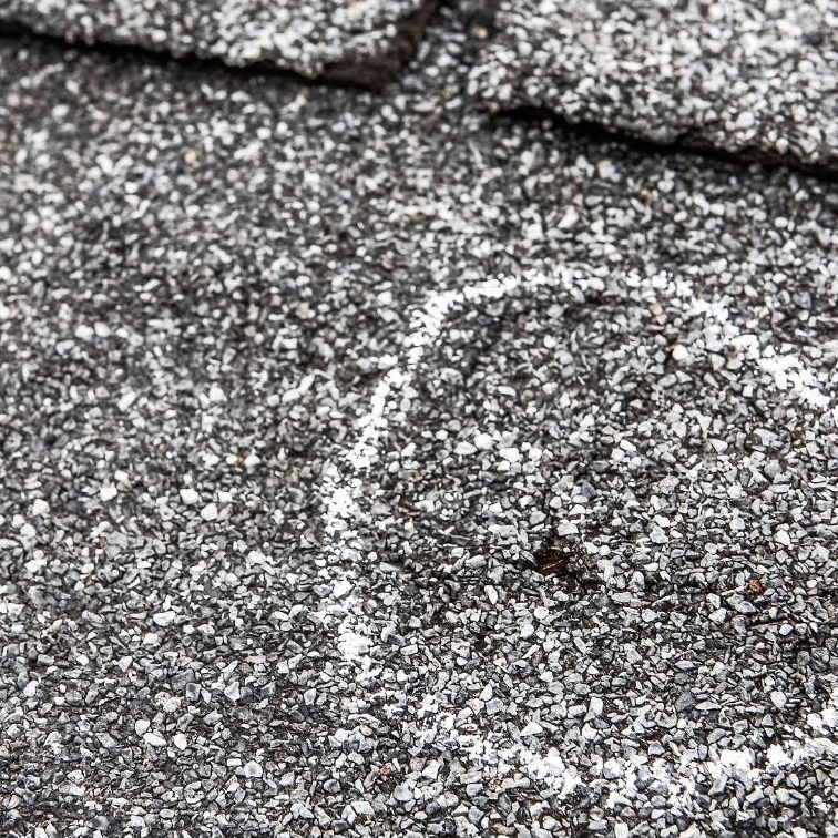 Hail damage shingle close up - Conway roofing, John Beal Roofing Lake of the Ozarks