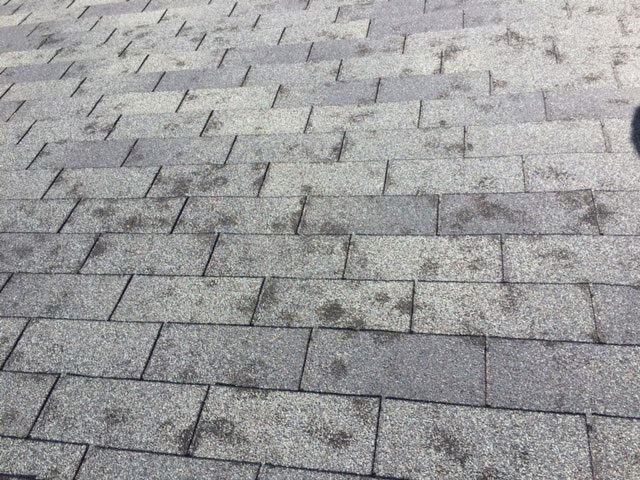 Roof storm damage shingle field - Stover roofing, John Beal Roofing Lake of the Ozarks